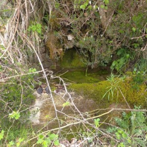 Gran terreno con cabaña y cuadra   Bezanes