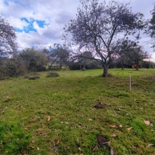 Finca edificable en Langreo   La Tabierna