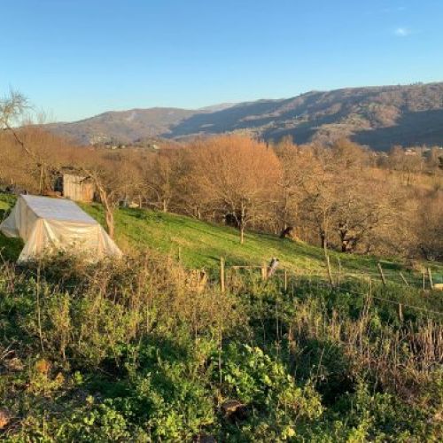 Casa con finca   Campo La Carrera