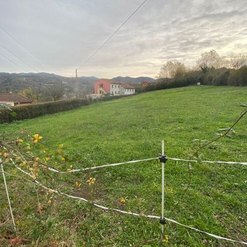 Finca edificable en Lada   La Piezona