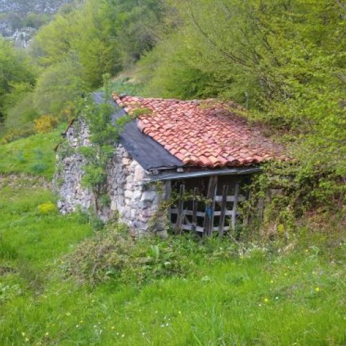 Gran terreno con cabaña y cuadra   Bezanes